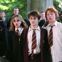 6 szokująco złych życiowych lekcji, których udzieliła nam seria o Harrym Potterze